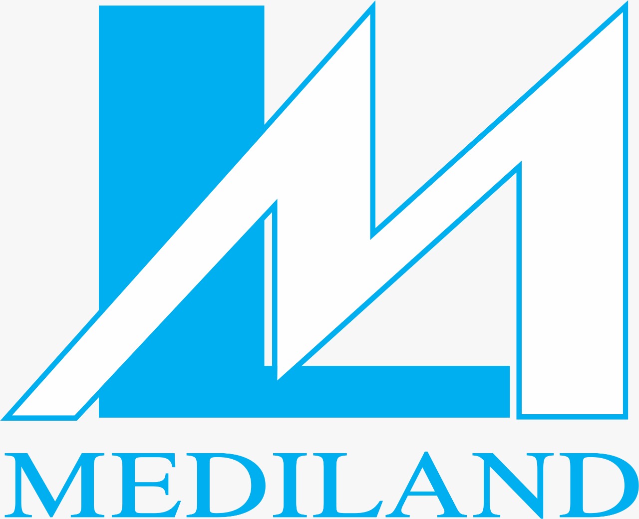 Mediland.jpg